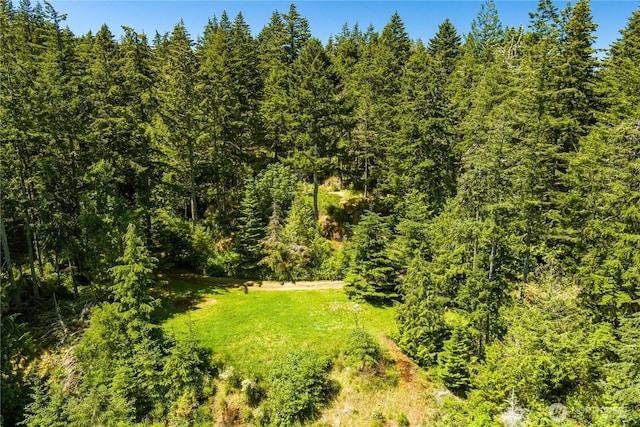 14711 Sky Island Ln, Anacortes, WA 98221 - photo 4