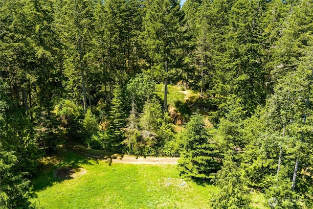 14711 Sky Island Ln, Anacortes, WA 98221 - photo 5