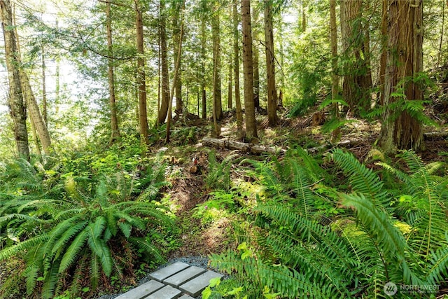 14711 Sky Island Ln, Anacortes, WA 98221 - photo 7