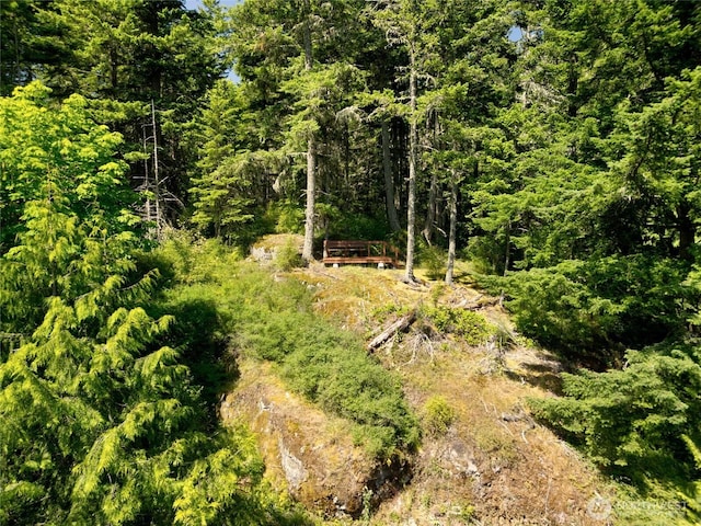 14711 Sky Island Ln, Anacortes, WA 98221 - photo 9