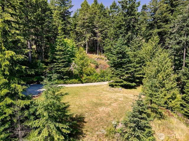 14711 Sky Island Ln, Anacortes, WA 98221 - photo 11