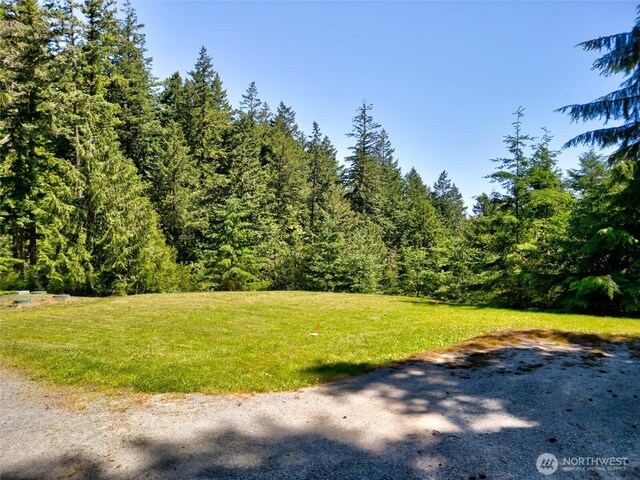 14711 Sky Island Ln, Anacortes, WA 98221 - photo 12