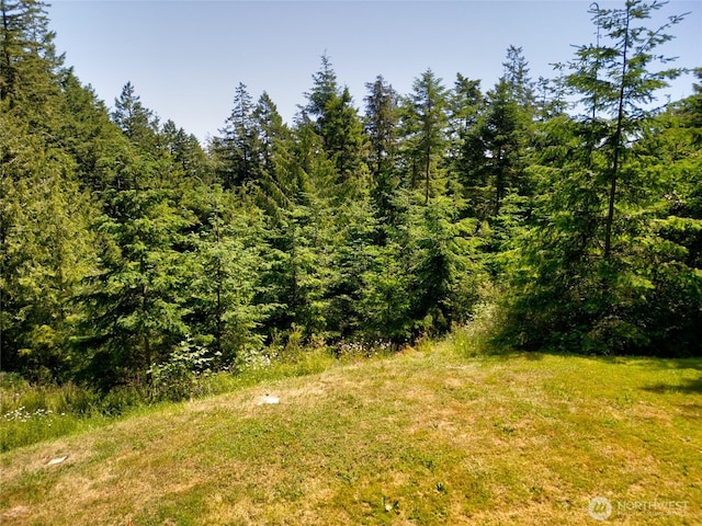 14711 Sky Island Ln, Anacortes, WA 98221 - photo 13