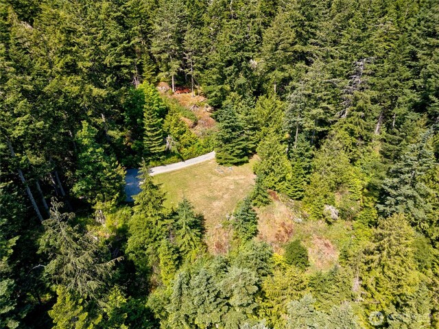 14711 Sky Island Ln, Anacortes, WA 98221 - photo 14
