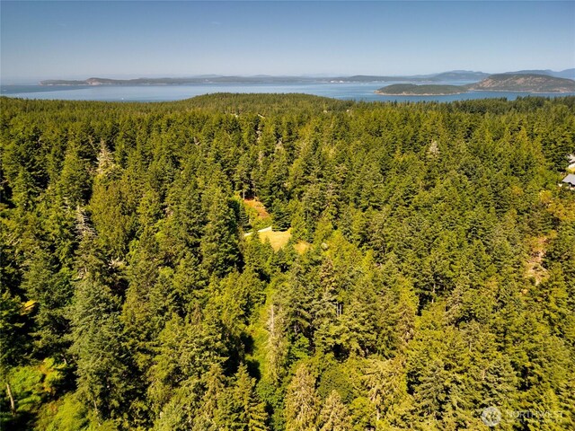 14711 Sky Island Ln, Anacortes, WA 98221 - photo 15