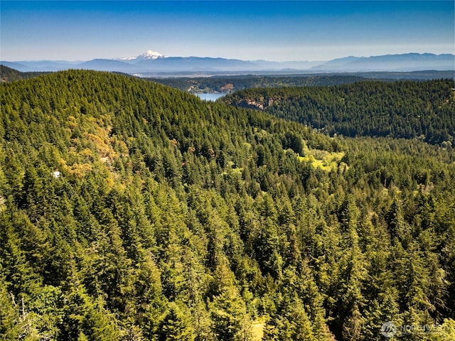 14711 Sky Island Ln, Anacortes, WA 98221 - photo 18