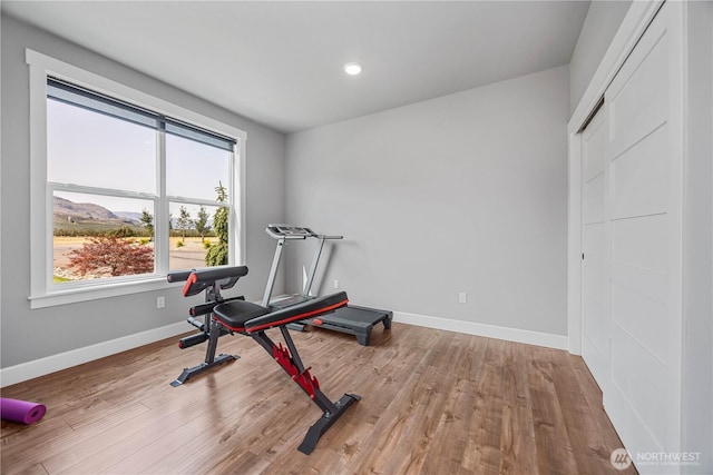 167 N Shore Dr, Orondo, WA 98843 - workout area with wood finished floors and recessed lighting