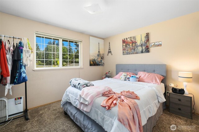 643 School St SE, Lacey, WA 98503 - carpeted bedroom with baseboards