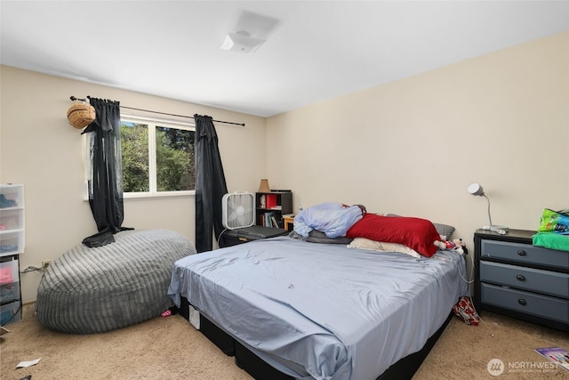 643 School St SE, Lacey, WA 98503 - view of carpeted bedroom