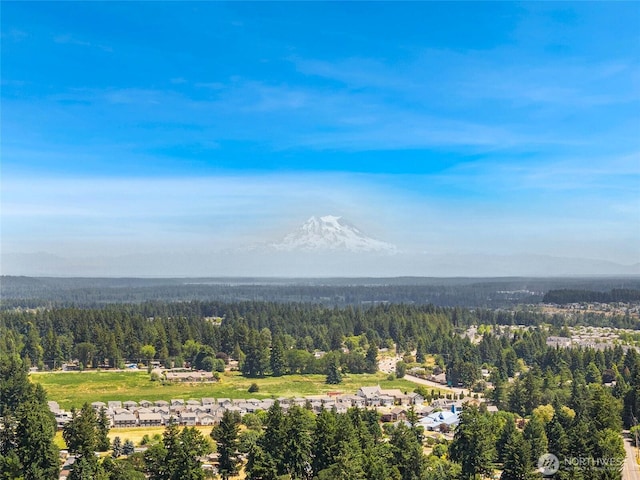 643 School St SE, Lacey, WA 98503 - aerial view of a heavily wooded area and a mountainous background