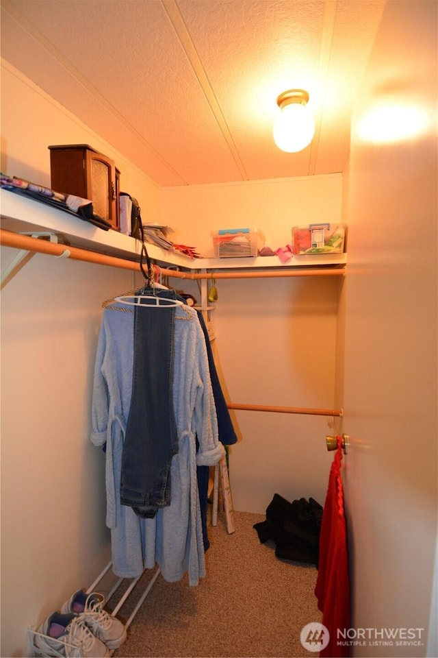 20 Brett Cir, Sequim, WA 98382 - spacious closet with carpet flooring
