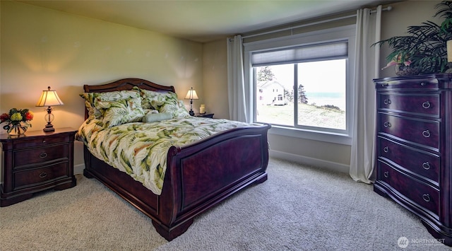 30 Chauncey Ln W, Pacific Beach, WA 98571 - bedroom featuring light carpet