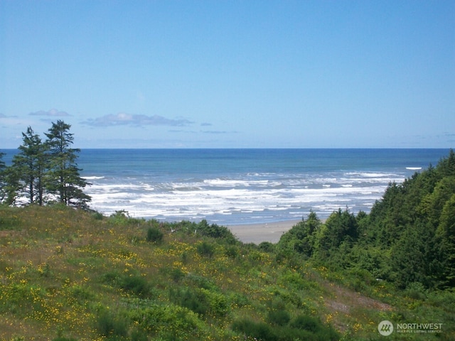 30 Chauncey Ln W, Pacific Beach, WA 98571 - water view