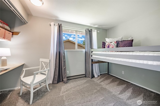 8380 Grouse Crescent Dr, Blaine, WA 98230 - view of carpeted bedroom