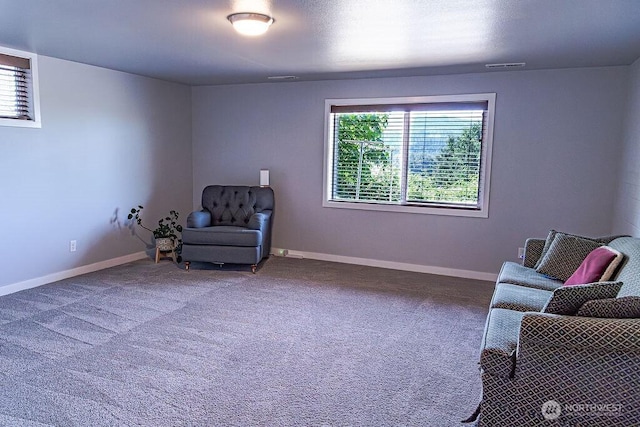 21424 Calhoun Rd, Monroe, WA 98272 - sitting room with healthy amount of natural light and carpet