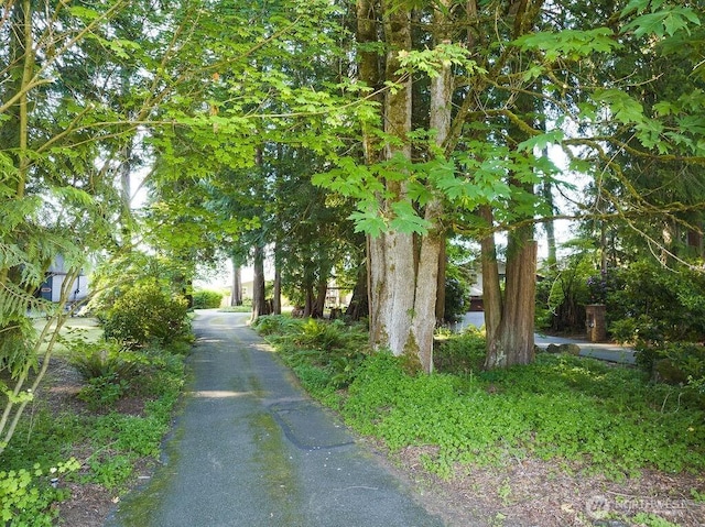 21424 Calhoun Rd, Monroe, WA 98272 - view of street