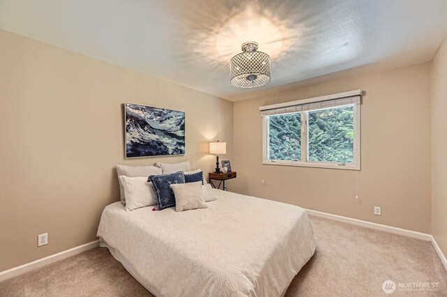 22720 NE 46th St, Redmond, WA 98053 - photo 27