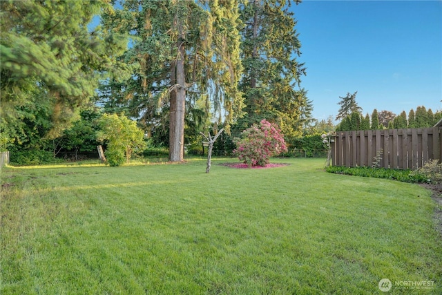 1202 Brookdale Rd E, Tacoma, WA 98445 - view of yard