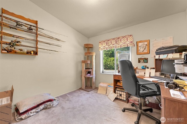 2174 Yew Street Rd Unit 22, Bellingham, WA 98229 - office area featuring carpet and lofted ceiling