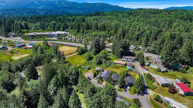 2174 Yew Street Rd Unit 22, Bellingham, WA 98229 - aerial view of a forest and a mountainous background