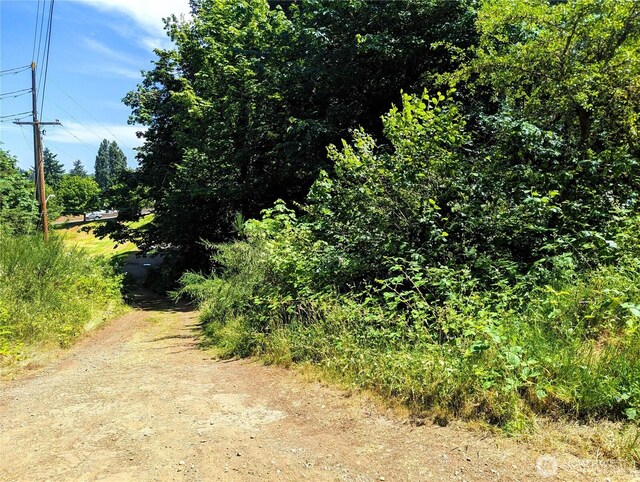 633 W Division St, Tumwater, WA 98512 - photo 8