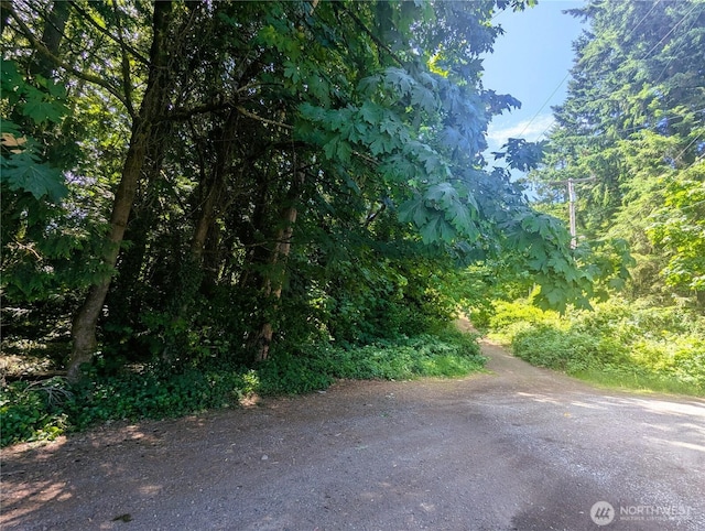 633 W Division St, Tumwater, WA 98512 - photo 2