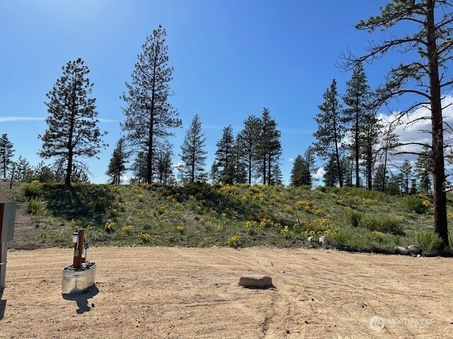 0NNA 4XX Harmony Heights Rd, Brewster, WA 98812