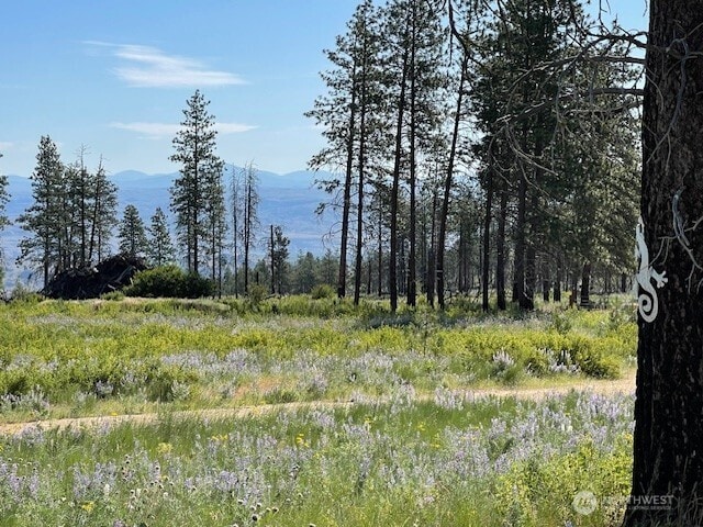 0NNA 4XX Harmony Heights Rd, Brewster, WA 98812