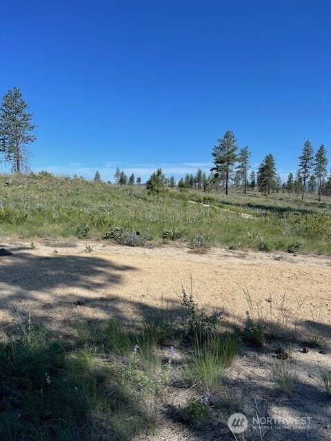 0NNA 4XX Harmony Heights Rd, Brewster, WA 98812