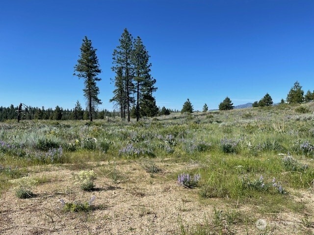 0NNA 4XX Harmony Heights Rd, Brewster, WA 98812