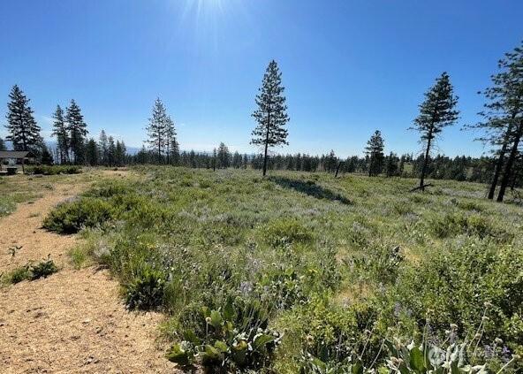0NNA 4XX Harmony Heights Rd, Brewster, WA 98812