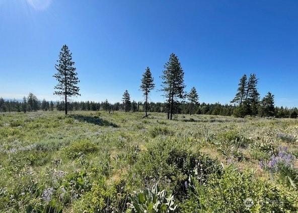 0NNA 4XX Harmony Heights Rd, Brewster, WA 98812