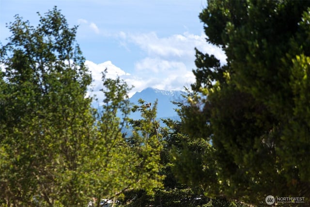 353 Ridge View Dr, Sequim, WA 98382 - view of mountain backdrop