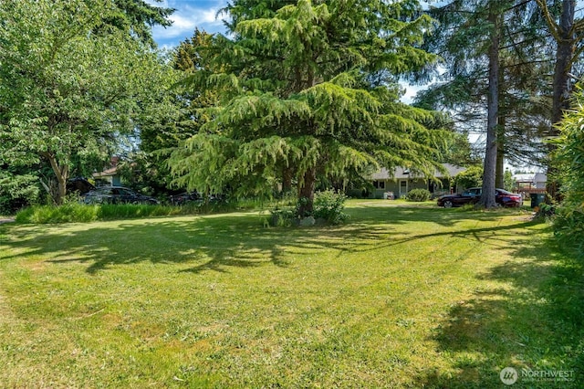 10825 4th Ave W, Everett, WA 98204 - view of grassy yard
