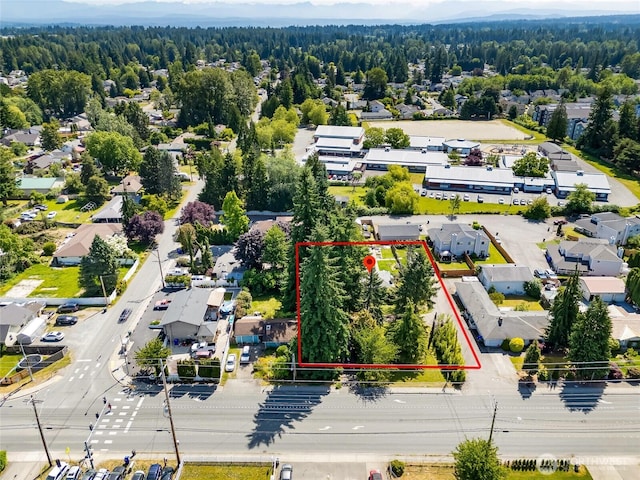 10825 4th Ave W, Everett, WA 98204 - view of property location featuring a forest and property parcel outlined