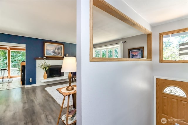 23310 133rd Ct SE, Kent, WA 98042 - entryway featuring plenty of natural light, wood finished floors, and a fireplace with raised hearth