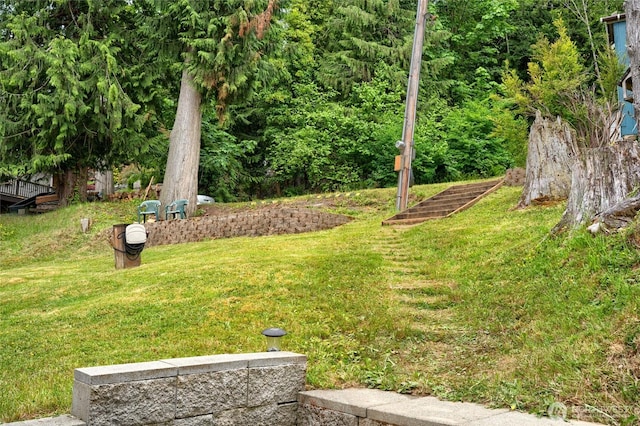 18933 W Big Lake Blvd, Mount Vernon, WA 98274 - view of grassy yard