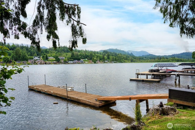 18933 W Big Lake Blvd, Mount Vernon, WA 98274 - dock with a water and mountain view