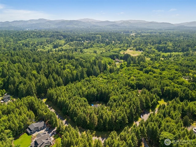 5609 Stetson Ct NW, Olympia, WA 98502 - bird's eye view of a mountain backdrop
