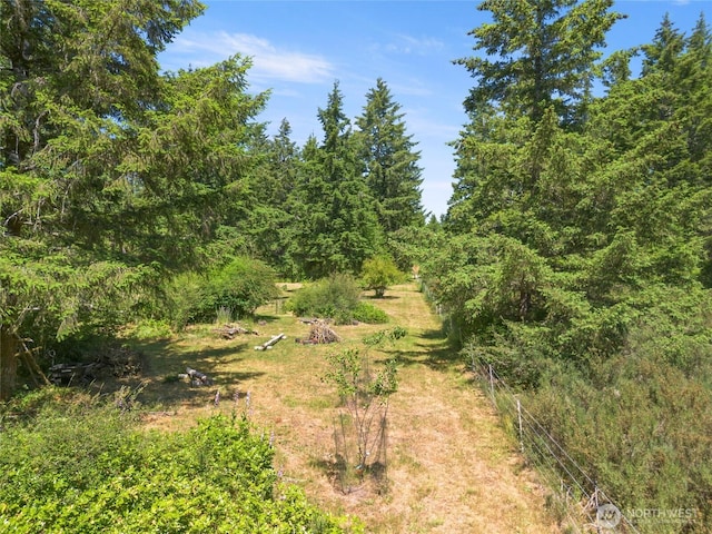 20 W Westwynd Ln W, Shelton, WA 98584 - photo 26