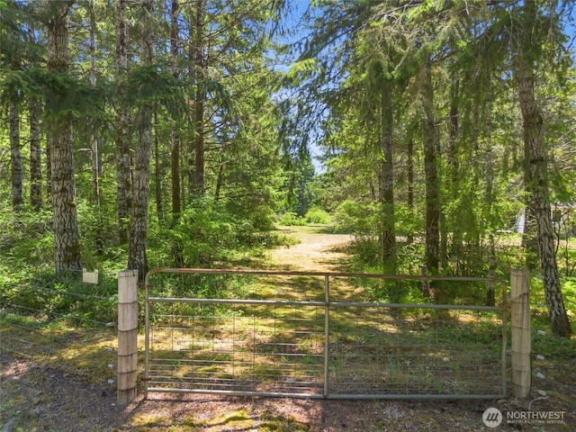 20 W Westwynd Ln W, Shelton, WA 98584 - photo 27