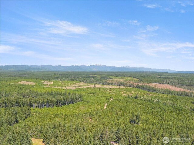 20 W Westwynd Ln W, Shelton, WA 98584 - photo 34