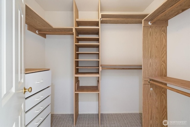 7109 SE 135th Pl, Newcastle, WA 98059 - walk in closet featuring carpet flooring