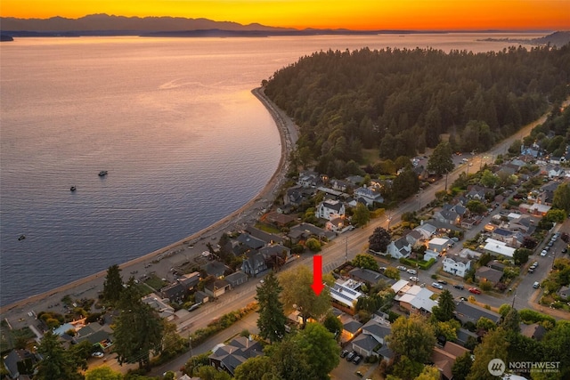 8816 Fauntleroy Way SW, Seattle, WA 98136 - aerial view at dusk of a water and mountain view and a residential view