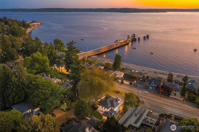 8816 Fauntleroy Way SW, Seattle, WA 98136 - aerial view at dusk of a water view and a residential view