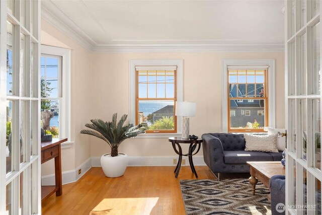 8816 Fauntleroy Way SW, Seattle, WA 98136 - living area featuring ornamental molding, wood finished floors, and plenty of natural light