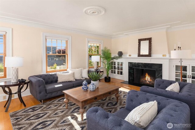 8816 Fauntleroy Way SW, Seattle, WA 98136 - living area featuring crown molding, wood finished floors, and a high end fireplace