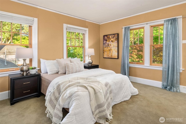 8816 Fauntleroy Way SW, Seattle, WA 98136 - carpeted bedroom with crown molding and baseboards
