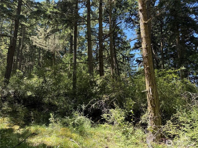 0 Thimbleberry Ln, Friday Harbor, WA 98250 - photo 3