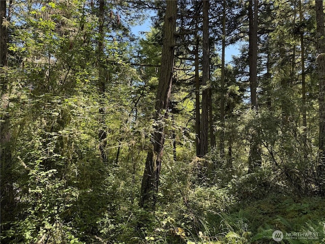 0 Thimbleberry Ln, Friday Harbor, WA 98250 - photo 5